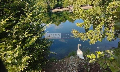 Villa singola con ampio giardino