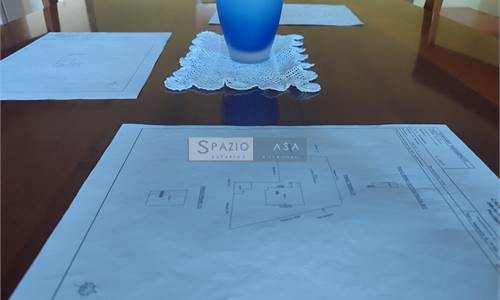 Villa singola con ampio giardino