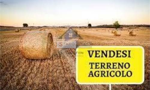 Agricultural Field for Sale in Azzano Decimo